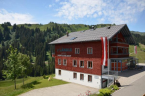 Гостиница Ländle Hotel, Дамюльс